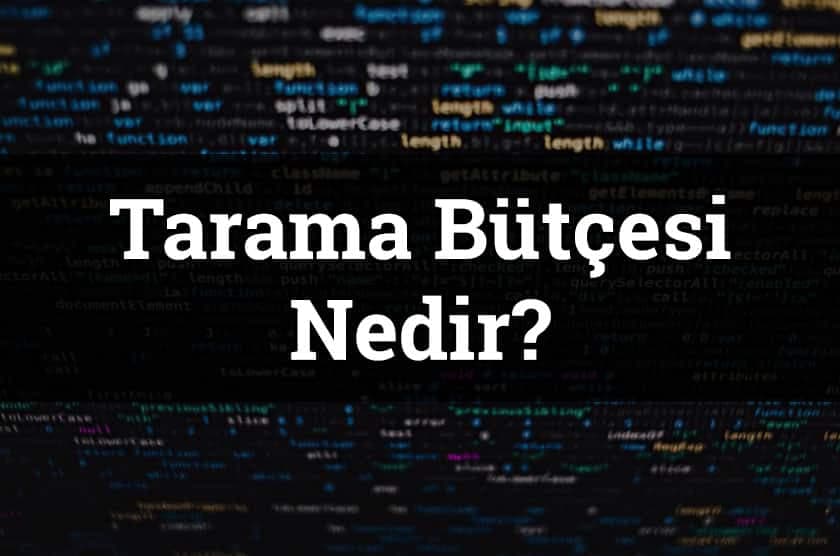 Tarama Bütçesi veya Crawl Budget Nedir? Neden Önemlidir?
