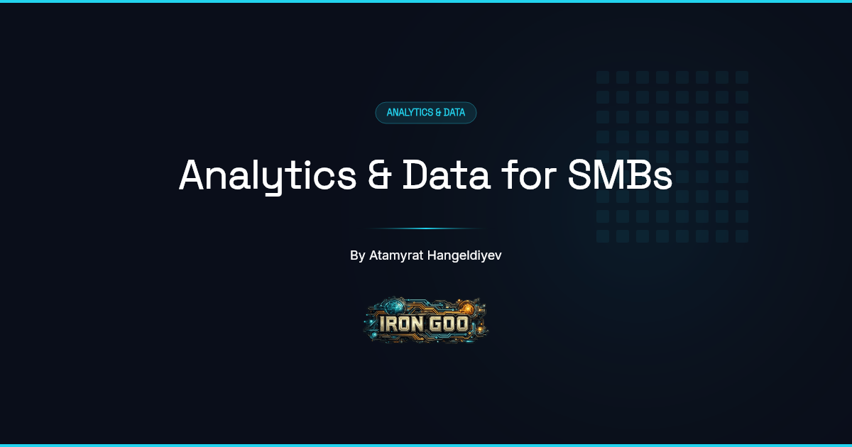 Iron Goo guide cover: the Analytics and Data pillar for a small business with no data team, with the Iron Goo logo.