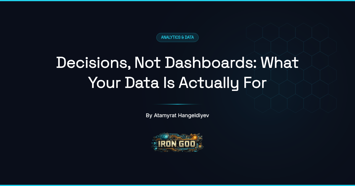Iron Goo guide cover on why business data exists to change decisions, not to fill dashboards.